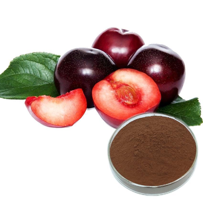 黑李子提取物 黑李子提取物