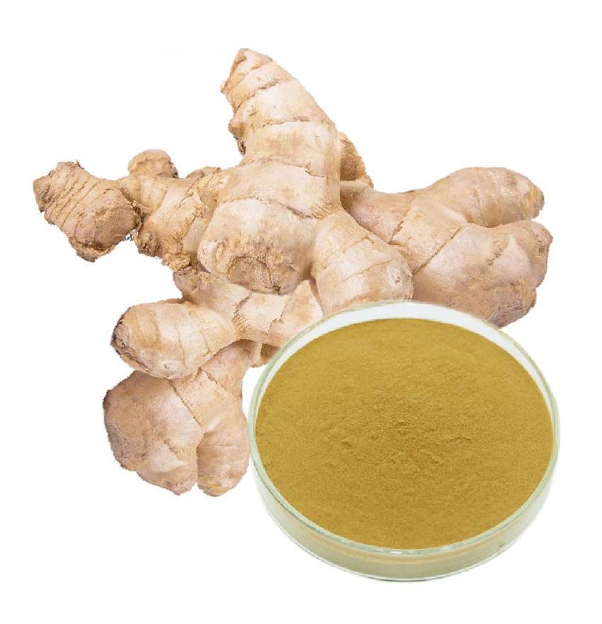 有機生姜提取物 有機生姜提取物