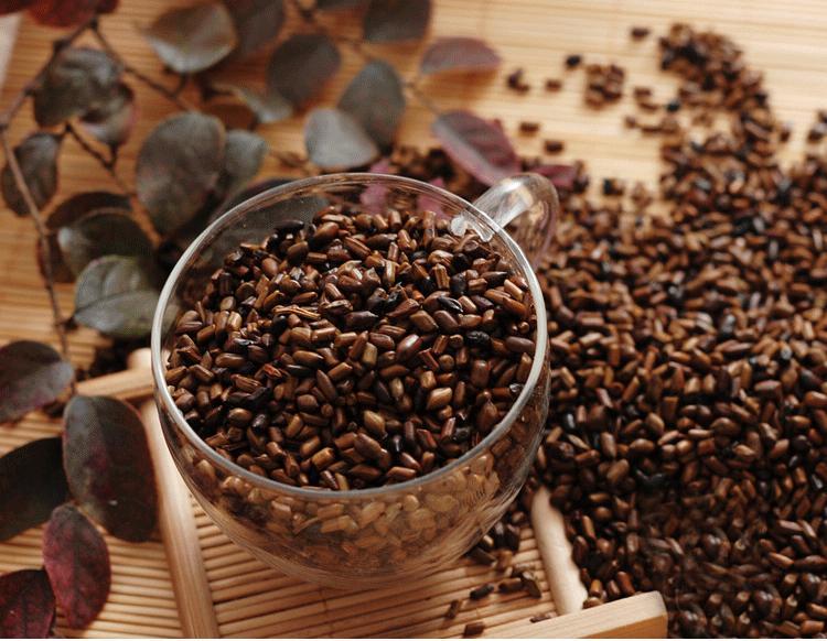 決明子提取物 決明子提取物