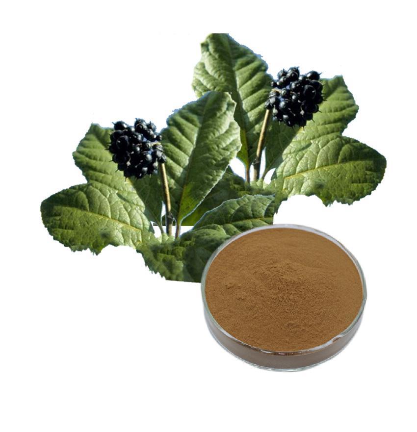 有機刺五加提取物 有機刺五加提取物