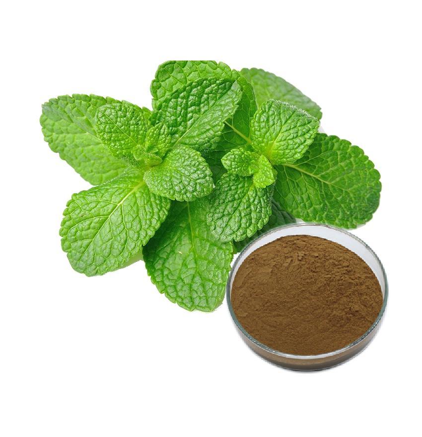 有機薄荷提取物 有機薄荷提取物