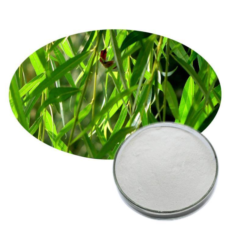 白柳皮提取物 白柳皮提取物