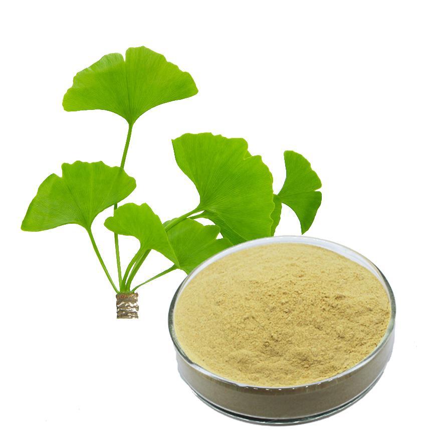 銀杏葉提取物 銀杏葉提取物