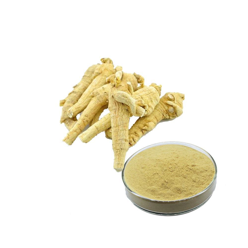 西洋參提取物 西洋參提取物