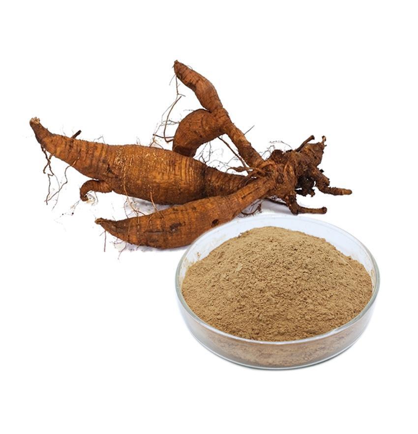 葛根提取物 葛根提取物