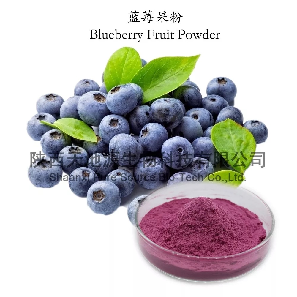 藍莓果粉——美味“藍”不住丨天地源藍莓果粉現貨供應