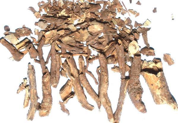 刺五加提取物 刺五加提取物