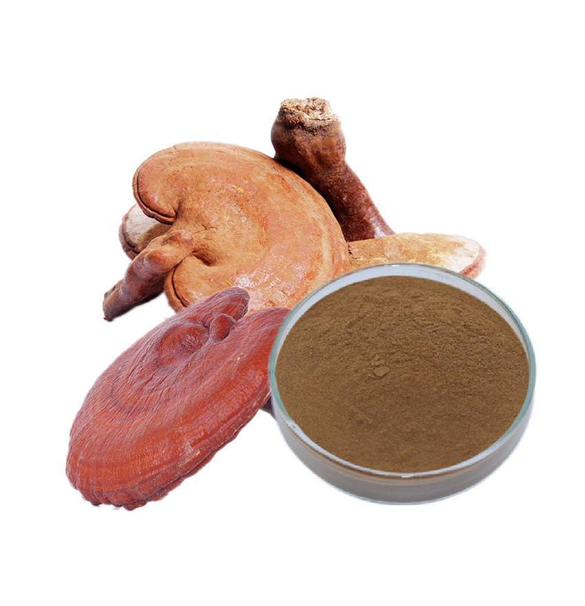 靈芝提取物 靈芝提取物