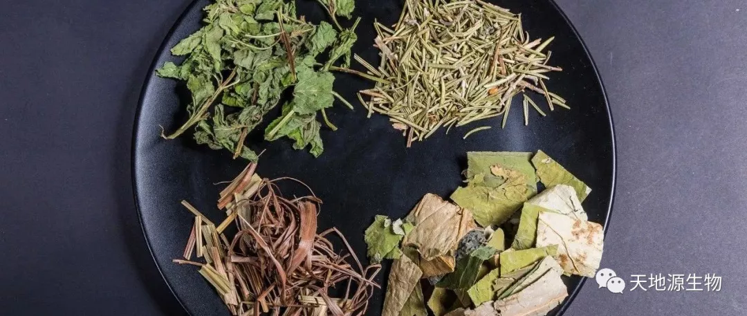 消費趨勢升級,植物提取物作用于口腔健康,天然植物提取物 優質供應 消費趨勢升級,植物提取物作用于口腔健康,天然植物提取物 優質供應