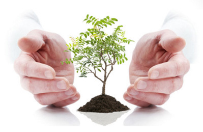 圖片名稱 圖片名稱