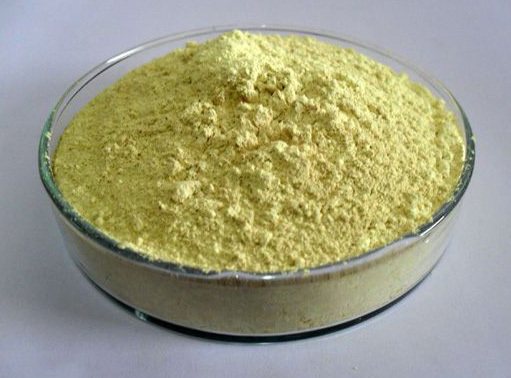 黃芩提取物 黃芩提取物