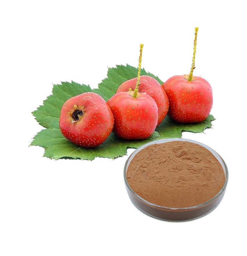 山楂果提取物 山楂果提取物