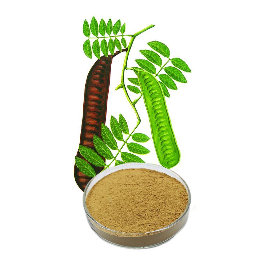 水皂角提取物 水皂角提取物