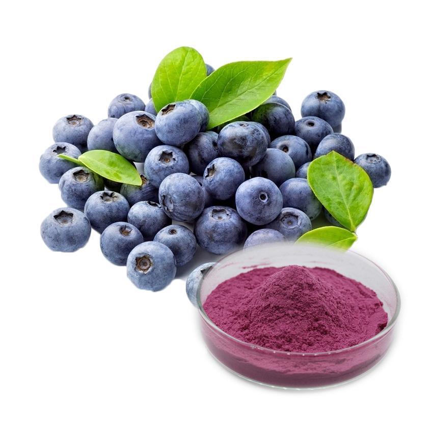 藍莓果粉 藍莓果粉