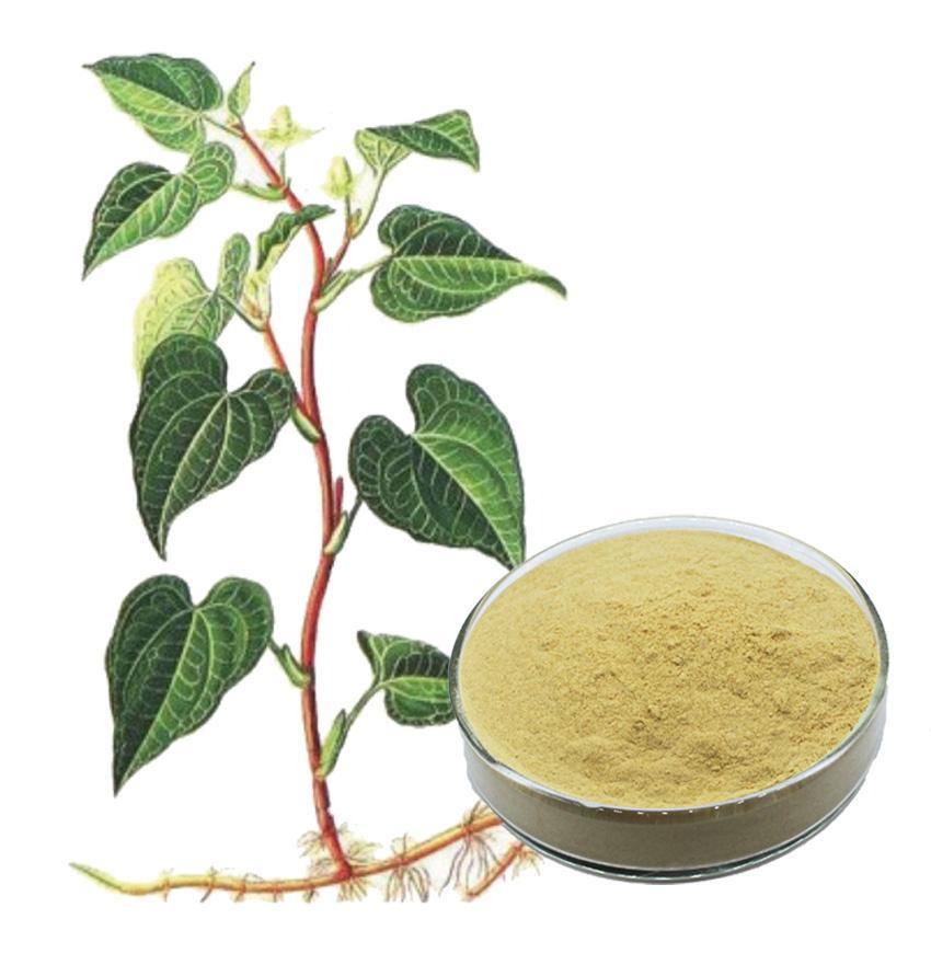 xGZFasl0RA-wlmHDAsZqqw.jpg_1180xaf.jpg xGZFasl0RA-wlmHDAsZqqw.jpg_1180xaf.jpg