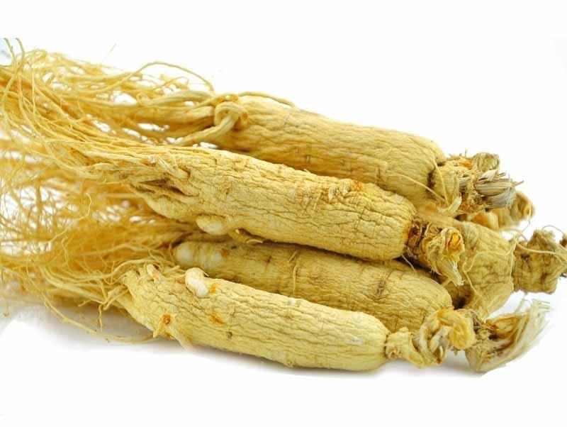 人參提取物 人參提取物