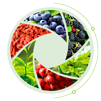 圖片名稱 圖片名稱