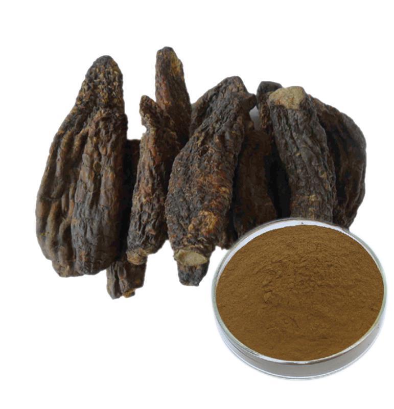 肉苁蓉提取物 肉苁蓉提取物