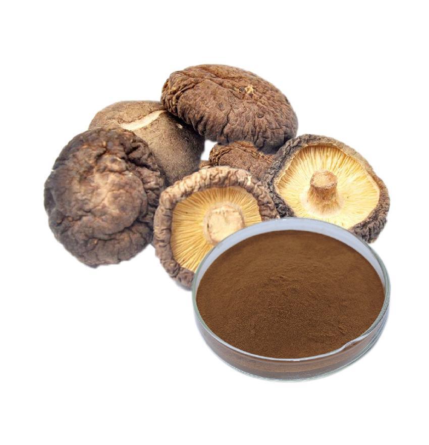香菇提取物 香菇提取物