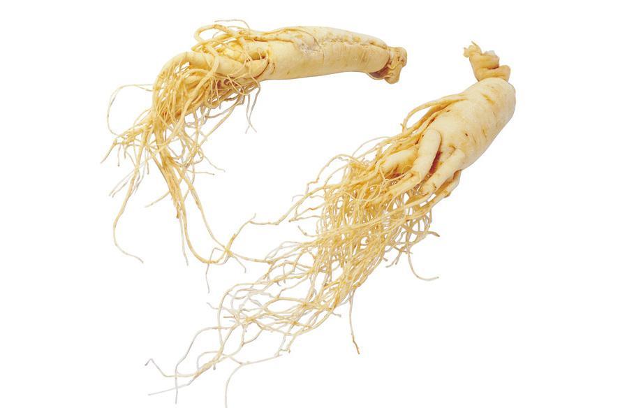 人參提取物 人參提取物