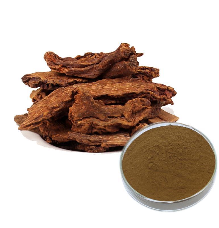 鎖陽提取物 鎖陽提取物