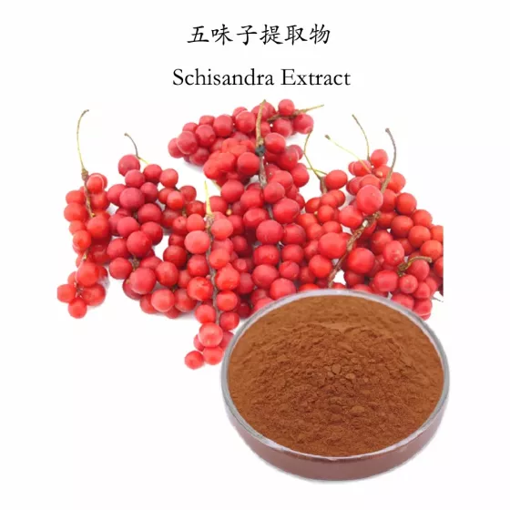 五味子提取物 五味子提取物