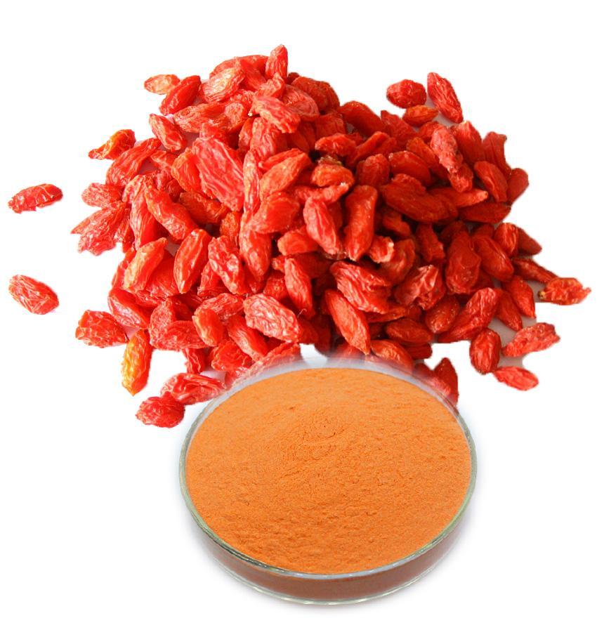 枸杞果粉 枸杞果粉