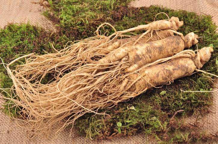 人參提取物 人參提取物