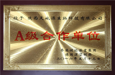 A級合作單位 A級合作單位