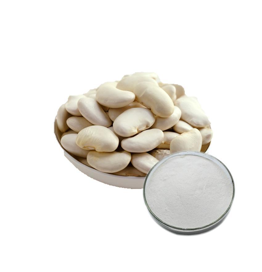 白芸豆提取物 白芸豆提取物