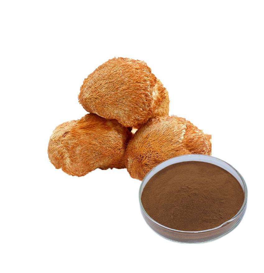 猴頭菇提取物 猴頭菇提取物