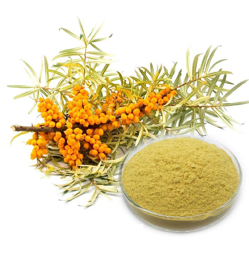 沙棘果粉 沙棘果粉