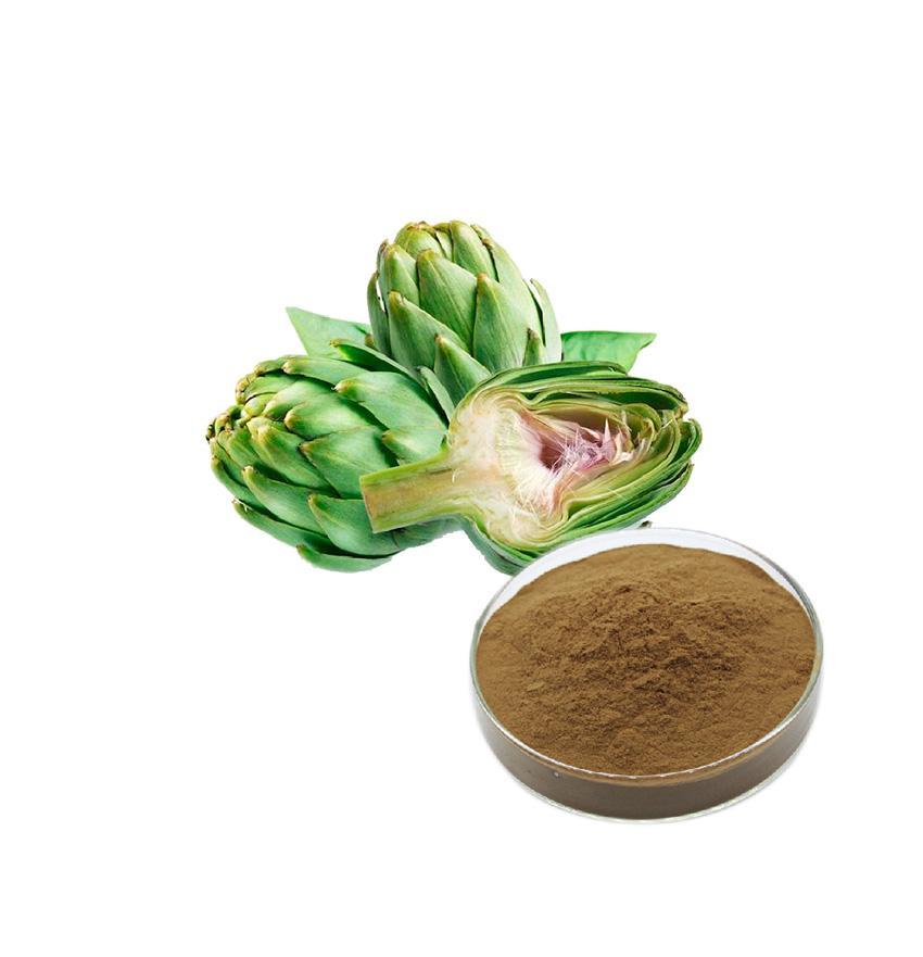 有機朝鮮薊提取物 有機朝鮮薊提取物